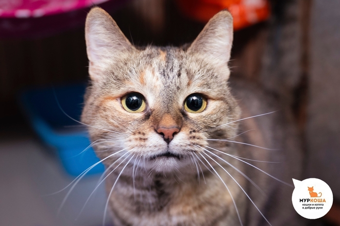 ����� �������, 9 ���, ������� �� ����� � ��������. �������������� ���. �������������� ������������ �������� ��� � ����� � �������-���������� ���. �������� ��������, ��� ��� �� ������ ��� �������� � �������� ������ ����� � �� ���������� ��.