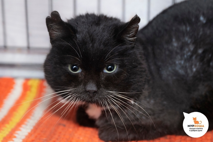 ��� �������, 5 ���, ������ �� �����.