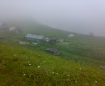 ��� ��������