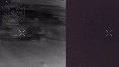 ��������������� ���������� �������� ������� � ��������� 72 ���� ��� �������� ���� ����������� ����������� "�����". �����: "�������� �����"