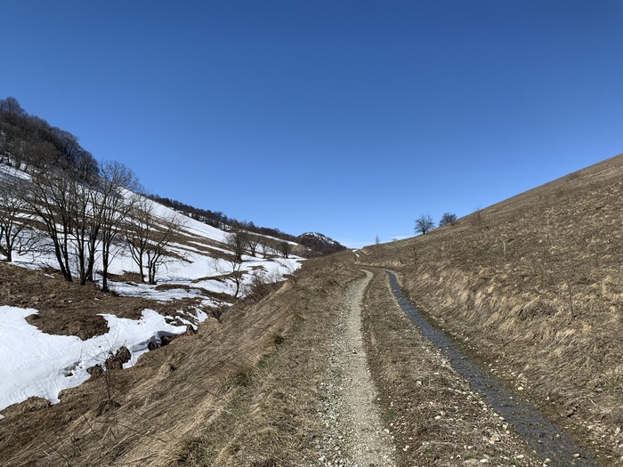 ������ �� ������� ����. ���� ������� �� �����, ��� � ��� ����� �������� � ���� �����.