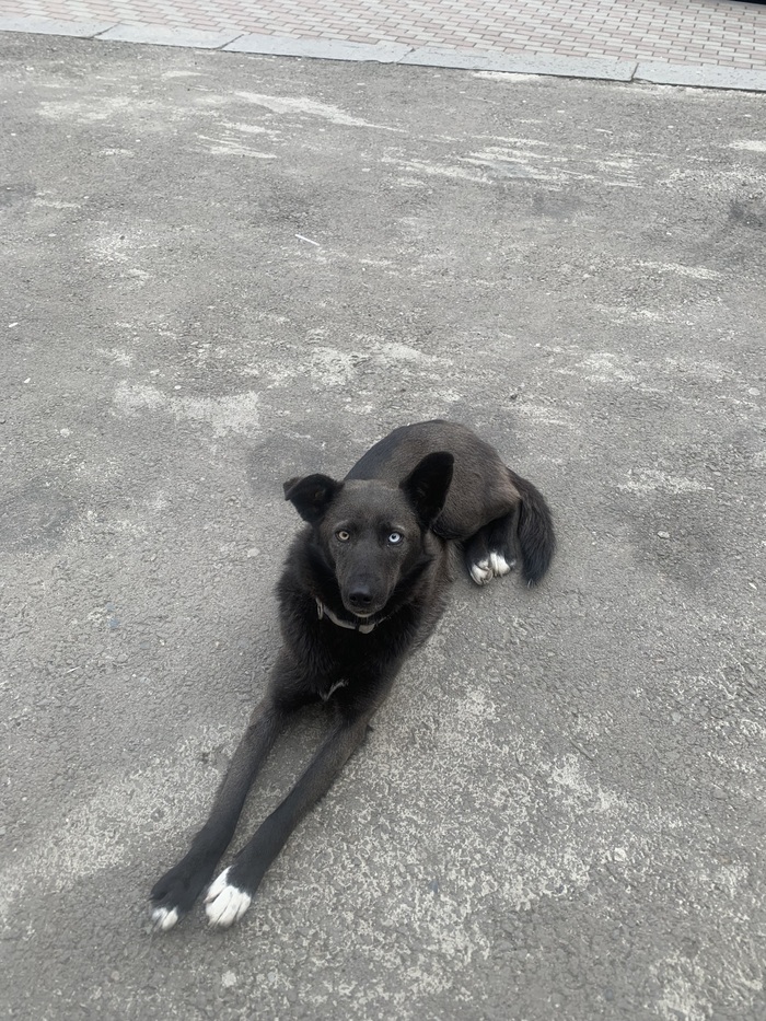 ���� ����������� ��� ������� �����, ��� �����, ��� ������� ���������, ���� ������ �� ����� �� ������.