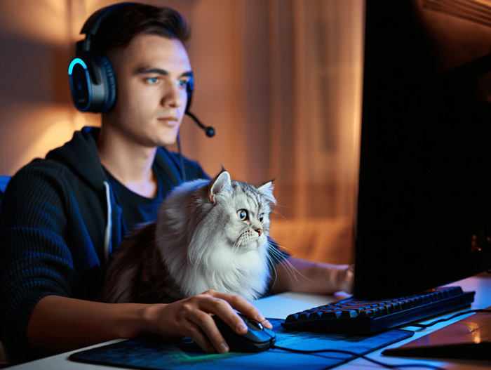 ������� ������ ������� �������� 2026: ���-15 ������������ �������, ������� �� �������� � �����