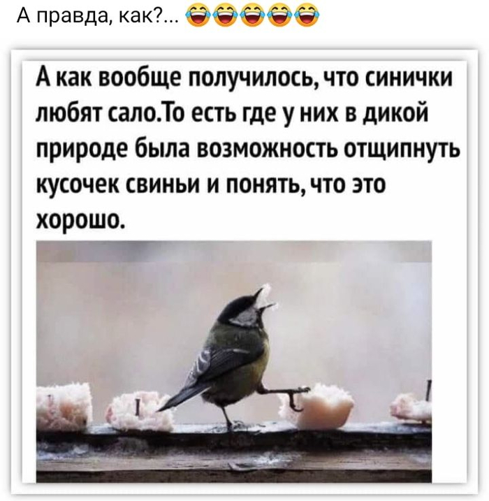 � ����� ����