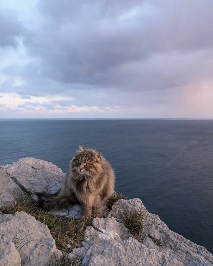 �. ��������� "����� � ����"