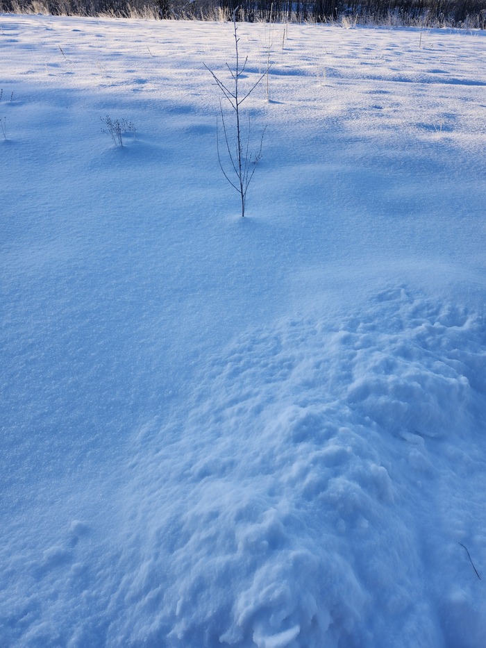 ��� ��� ����� ������� ��� ������ � ���� �����)