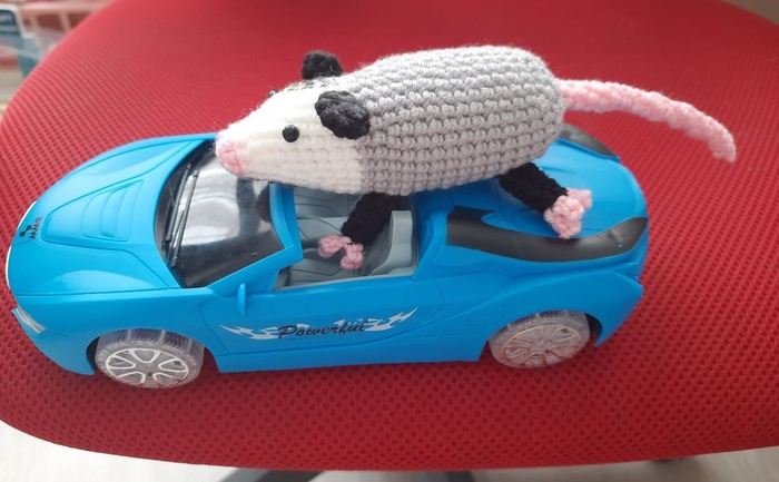 ���� (����)