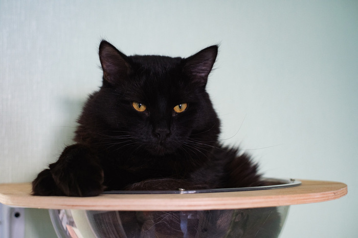 ������� �����������