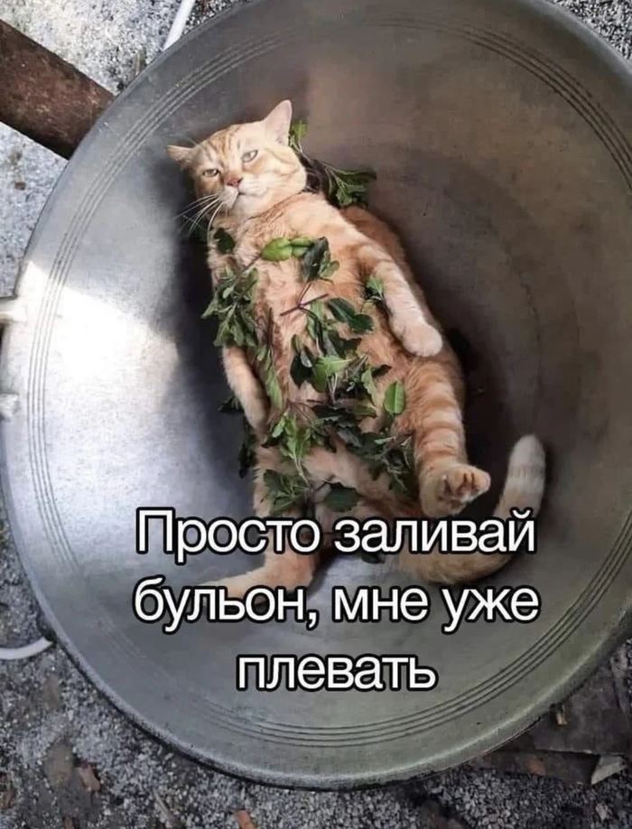 � �����...