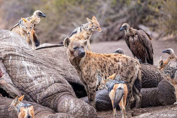 ������� �� ������