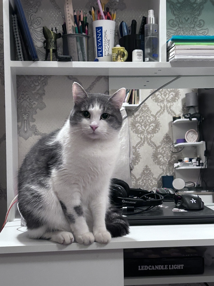 ����� �� ���� �������������