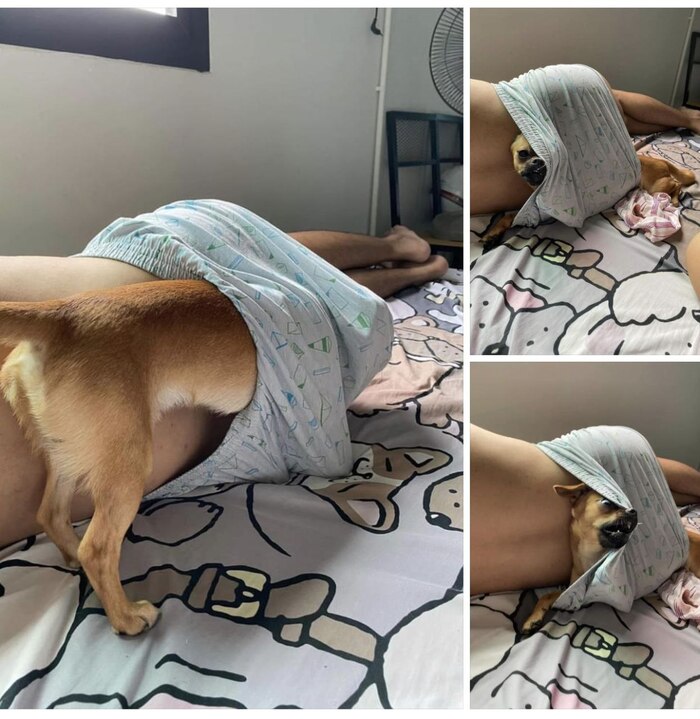 Не пройдена похоже