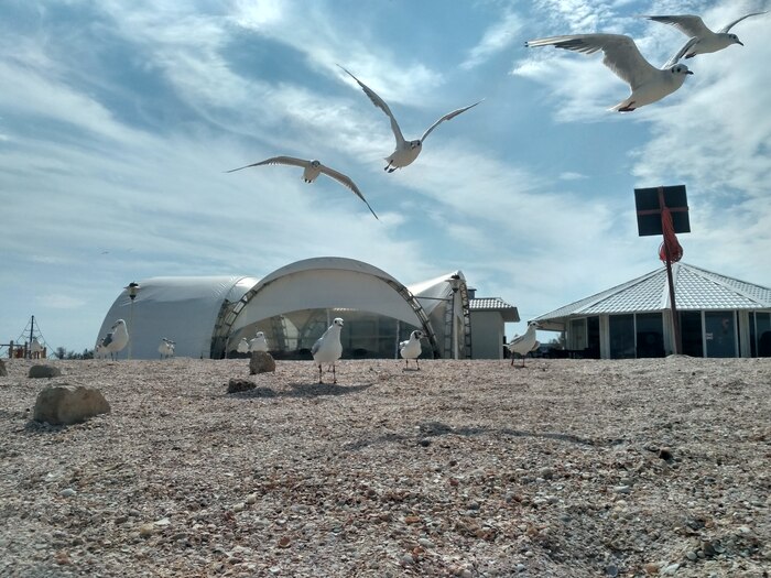 Сектор моря. Лучшее кафе в жизни, вероятно. Чайки соврать не дадут.