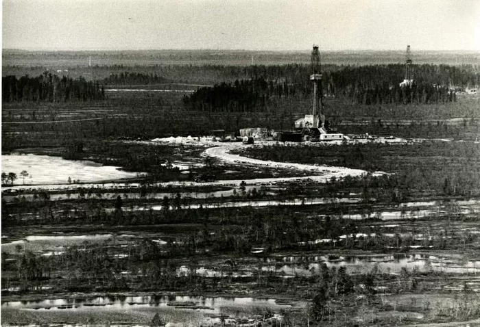 ������������ �������������