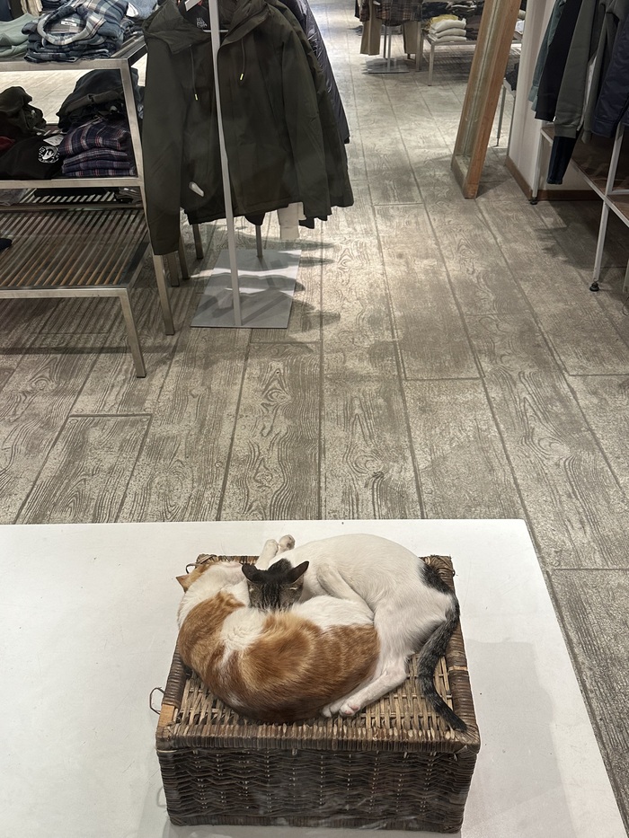 � �������� ������ 