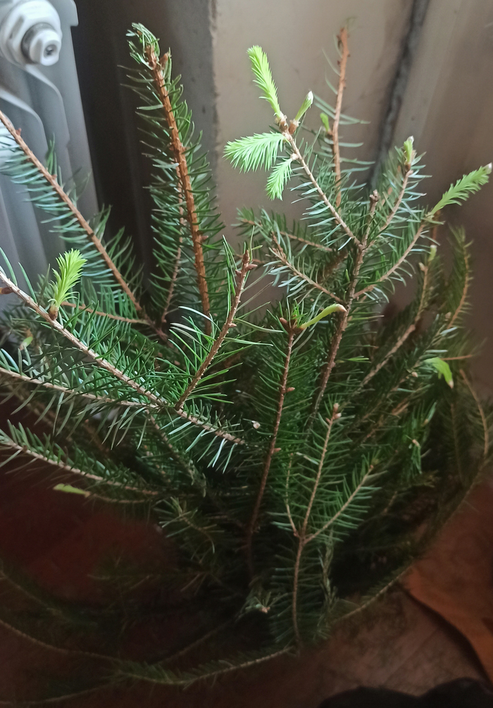 ����� �� ���� ������ ��� ������ ����� ...�