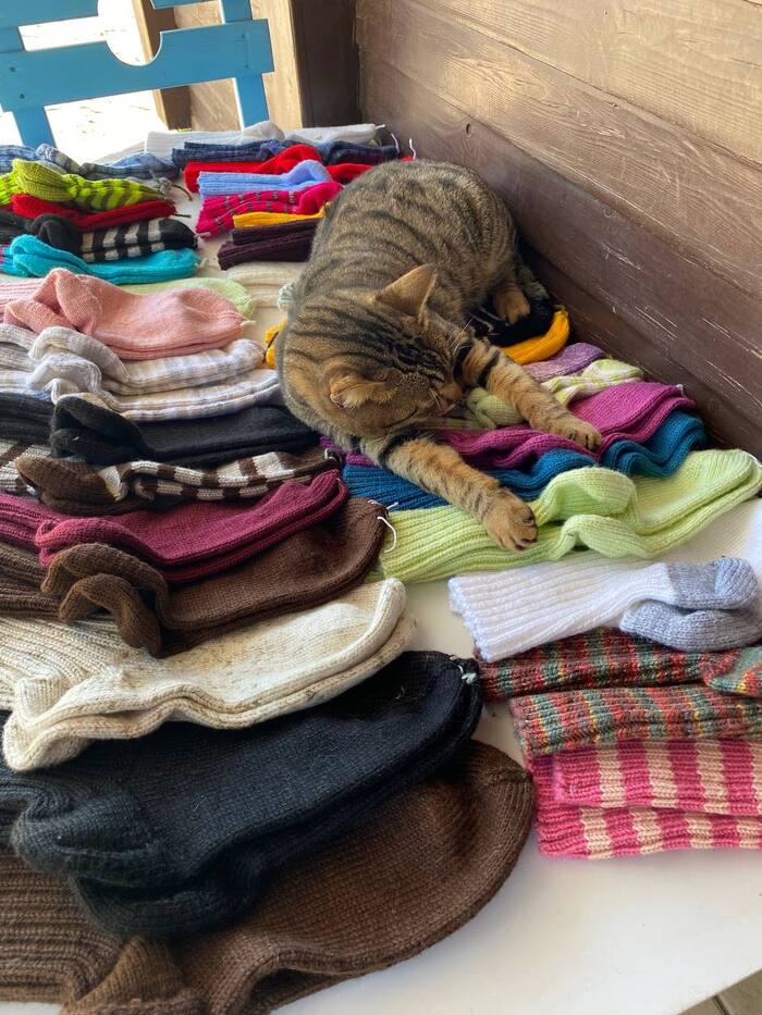 �������� �����