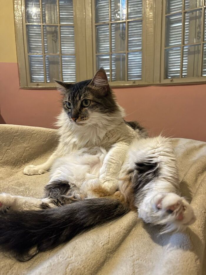 ��� ����� ��������... ��� ���� ��� ��������!