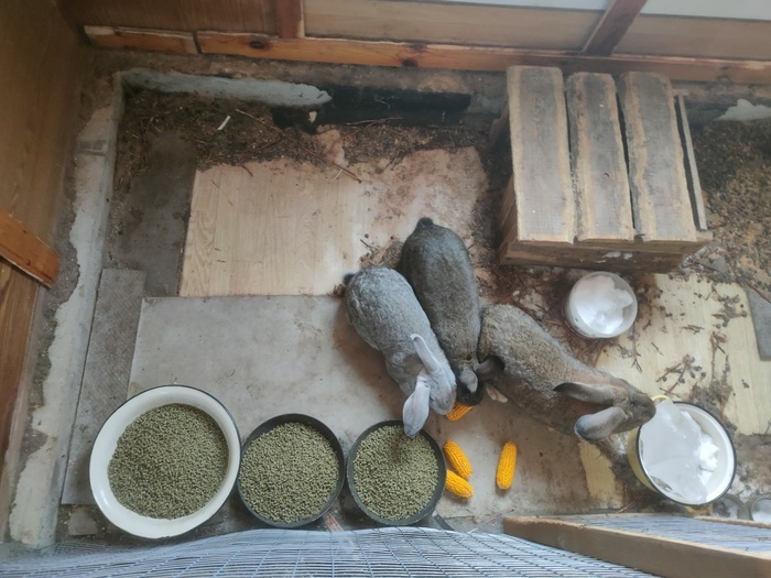 сегодня в программе - расширенный паек, зимнее меню