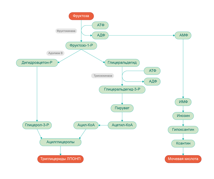 ���, ����������, ���� ����.