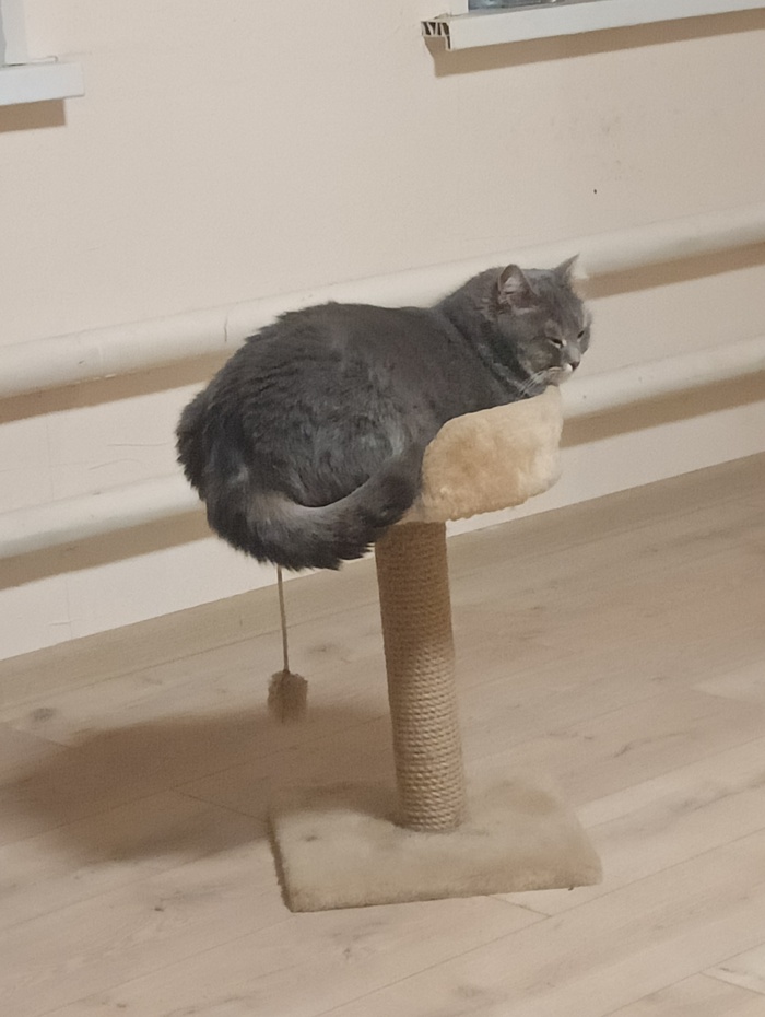 � �����, � ����� ����������)