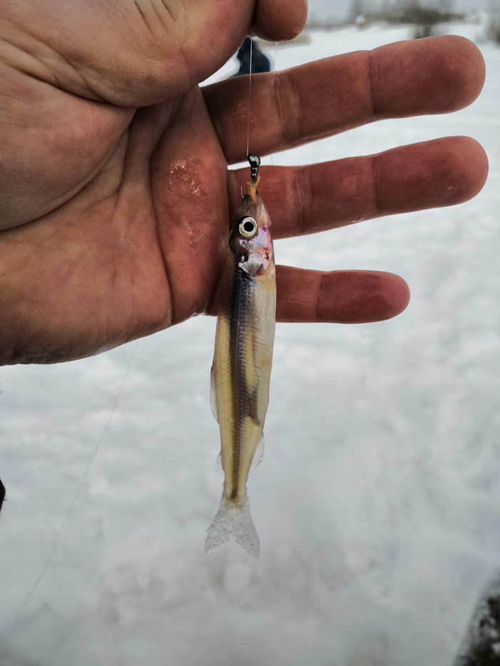 ������� ����������...