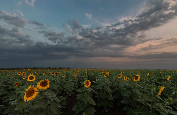 ������� � ������ �������