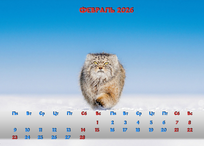 ��������� "�� ������". ������� 2026