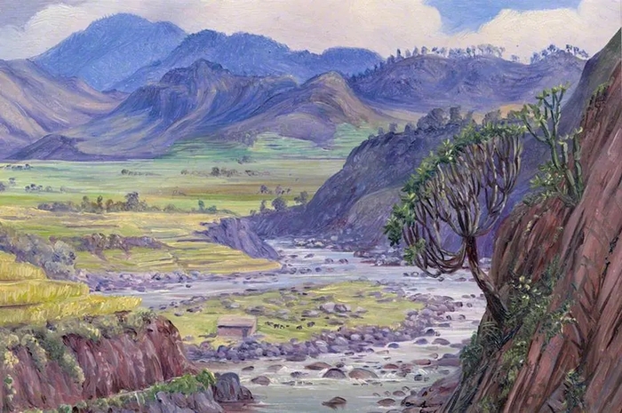 �������� ���� ������� � ��������� �� ������, ������, ������, 1878 �.