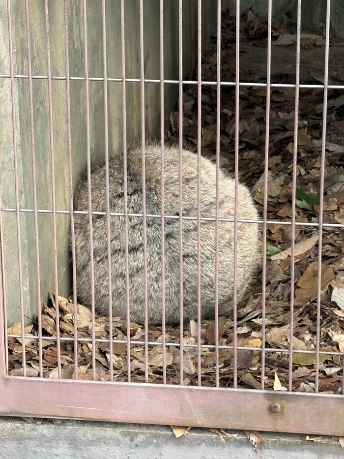 � �������� ��������� ���������� �������� ���������