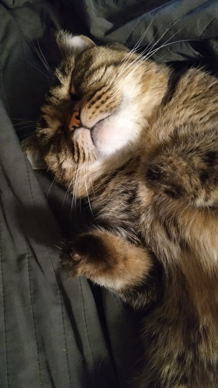 ��� �� ��������� ��