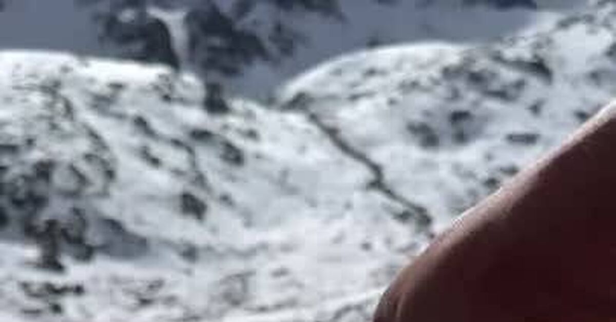 Admit it, you wanted to. - Food, Meat, Vertical video, Video VK, Video