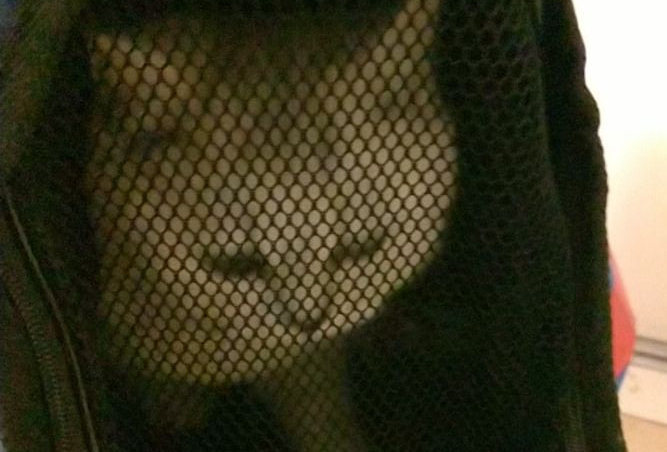 ��� ����� ���������� ���.