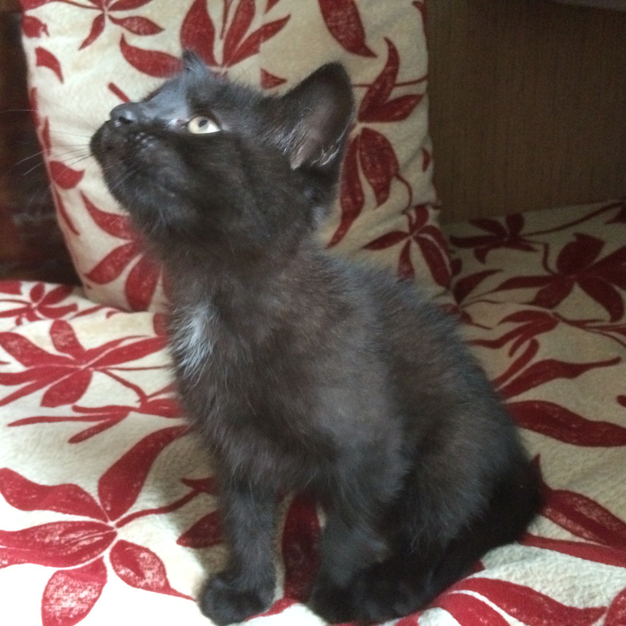 ����� � 2019