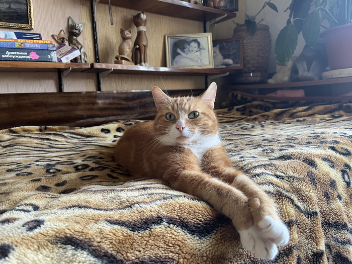 �������� II. � � ���� �� ���� ����.