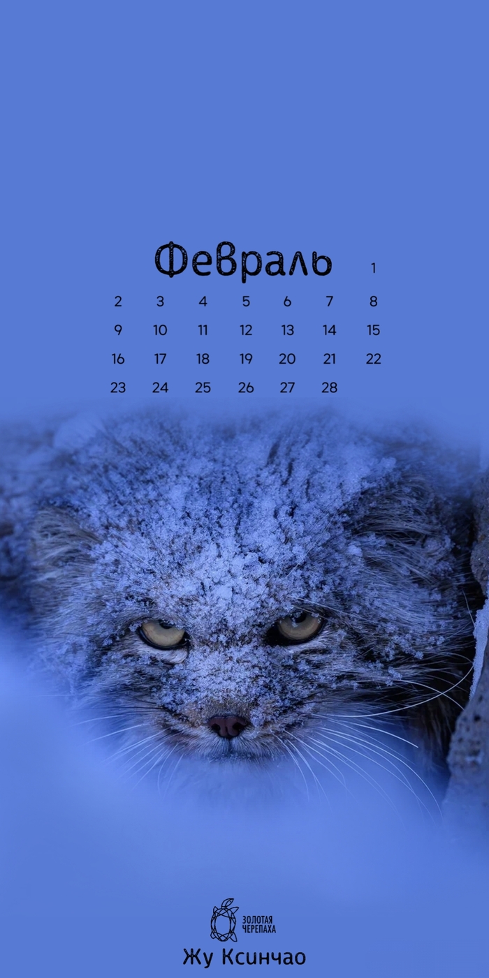 ��������� �� ������� ��������