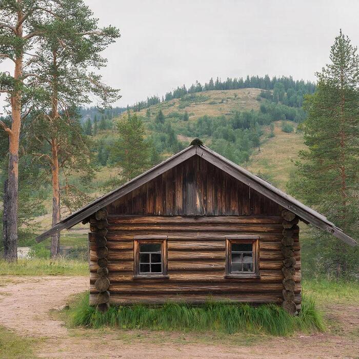 ����� 12. �����