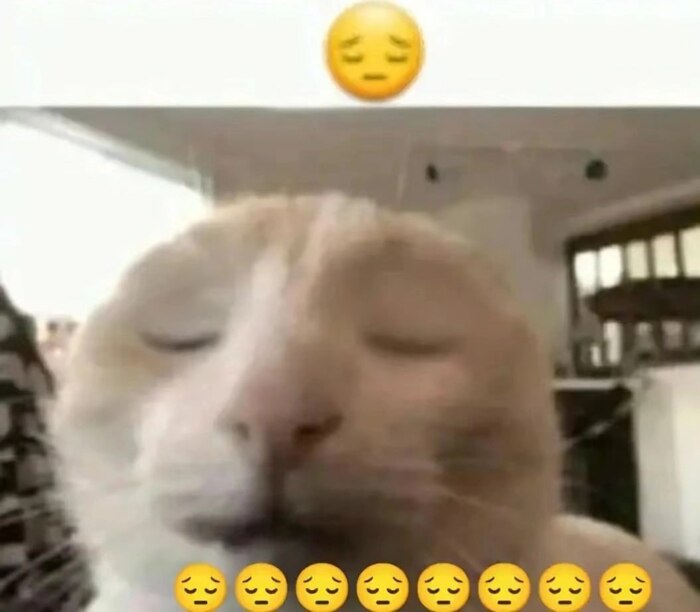 ���������� ��������