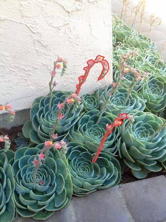 ������������