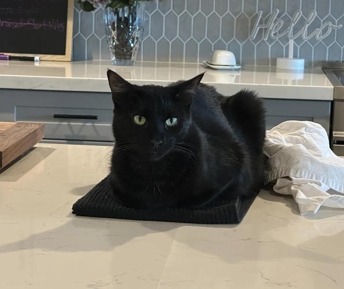 ����������� ������ ���