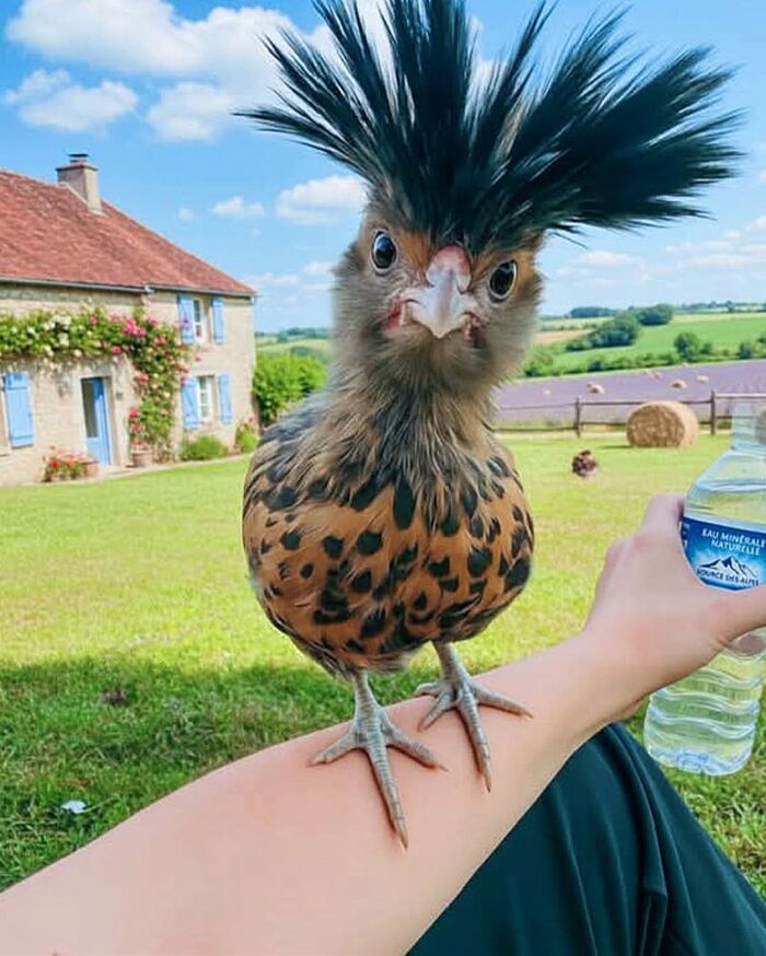 � ������ ��� ����� ����� � ��� ������������