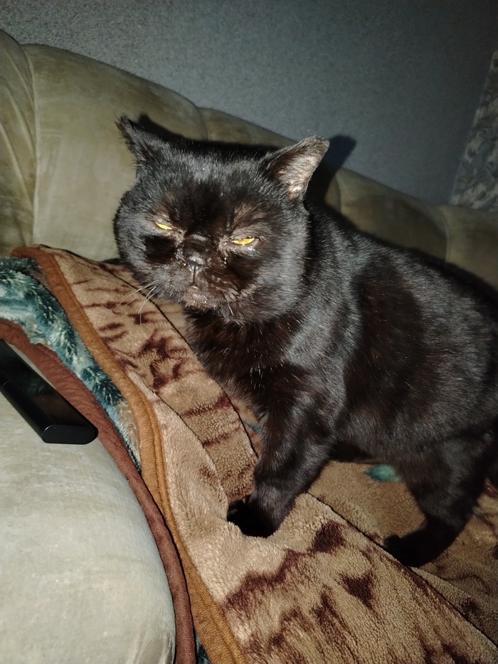 Когда Кунь недоволен-это не настроение, это закон