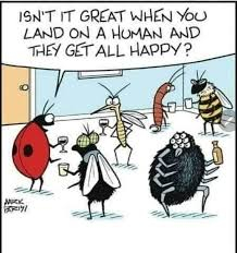 ���� �� ��� ���� ����� �������, ��� ��������� ������ ������, ������� �����, ���������� �������, ���������� ������������ ��� ������� �������.