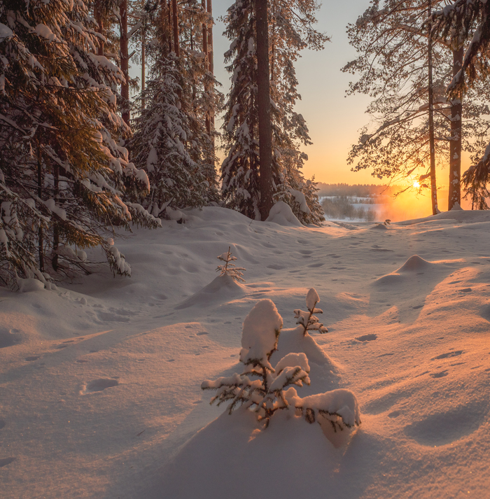 ����������� ������� ������