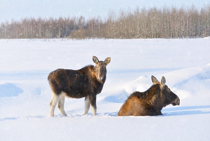 ���������� �� ������ ����� ����