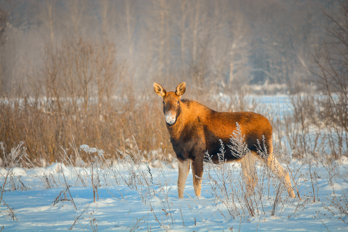 ��������� � �����!