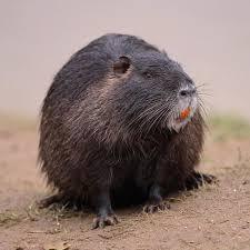 ���� ����� - ���� ������. ����� 2: ������