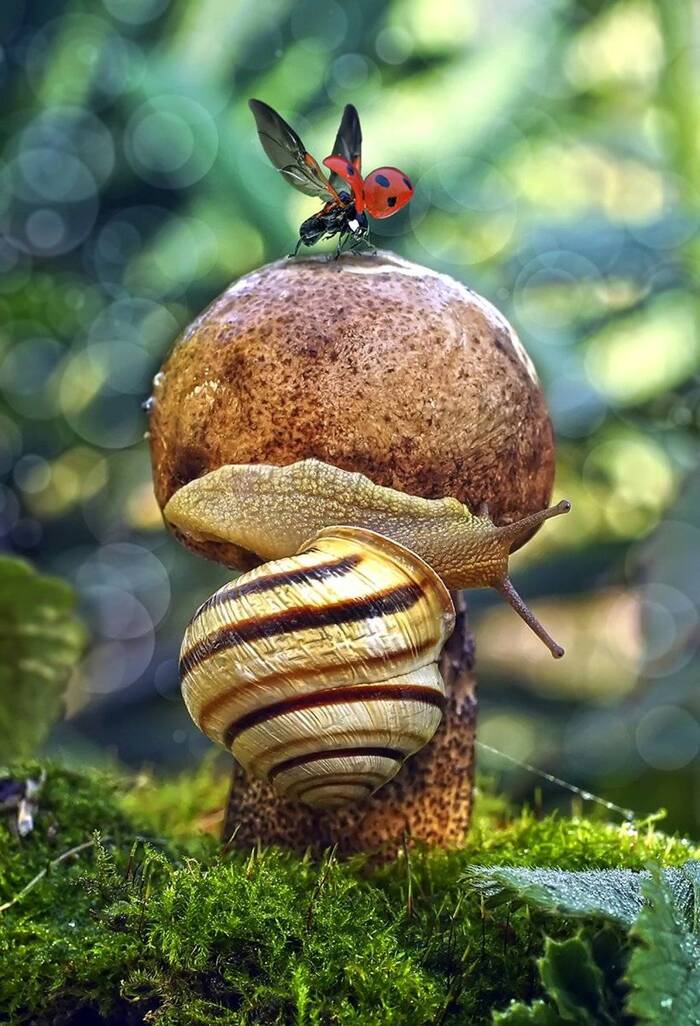 "�������� �������,������ �� �����"