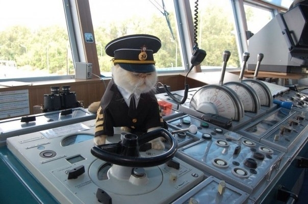 ����� ������ �����, � ��� ���� ��������� �����)