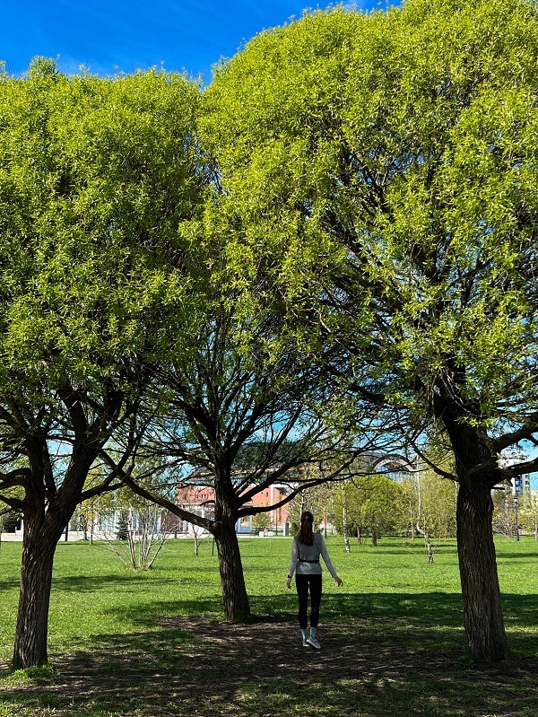 ���� 1000-����� ���������. ����: �������� ��������